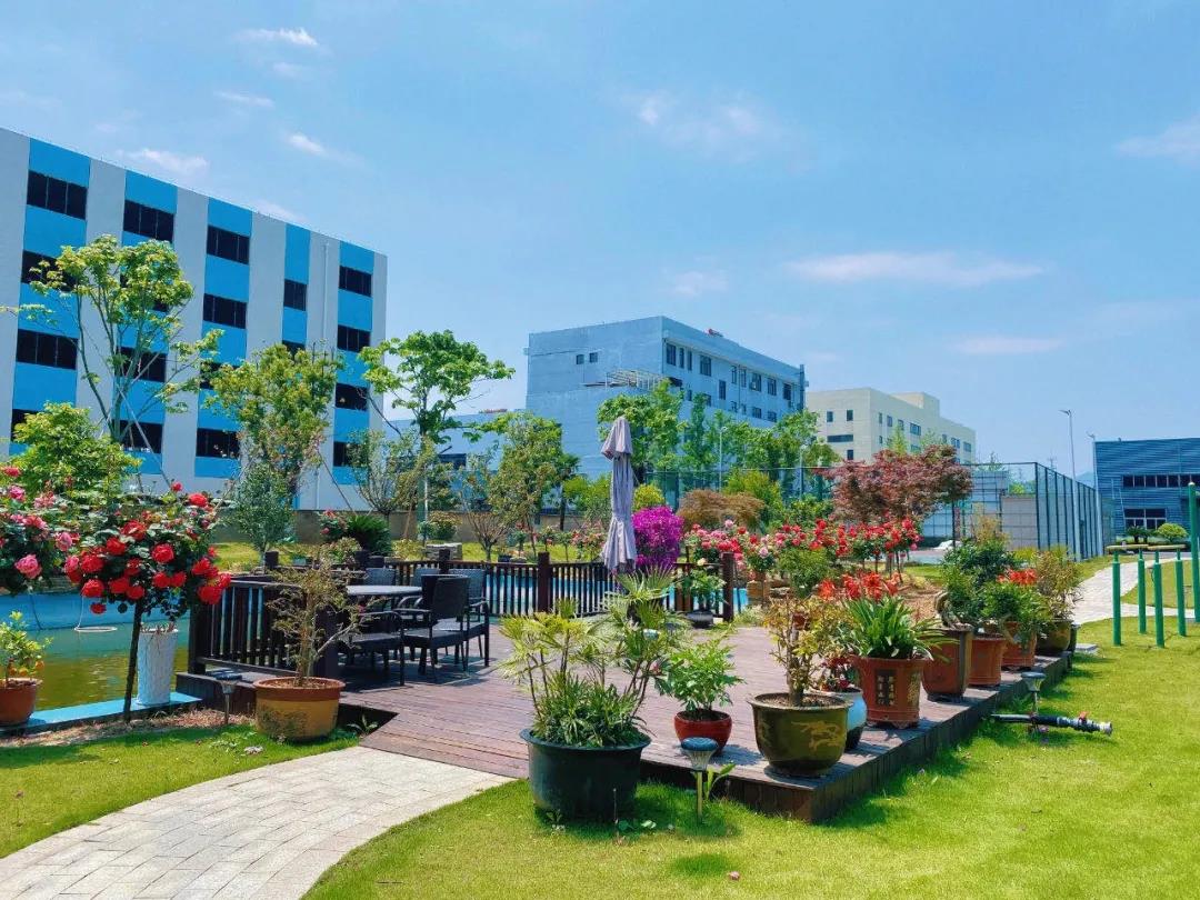 風(fēng)景這邊獨(dú)好！東大環(huán)境美景一覽，請(qǐng)查收