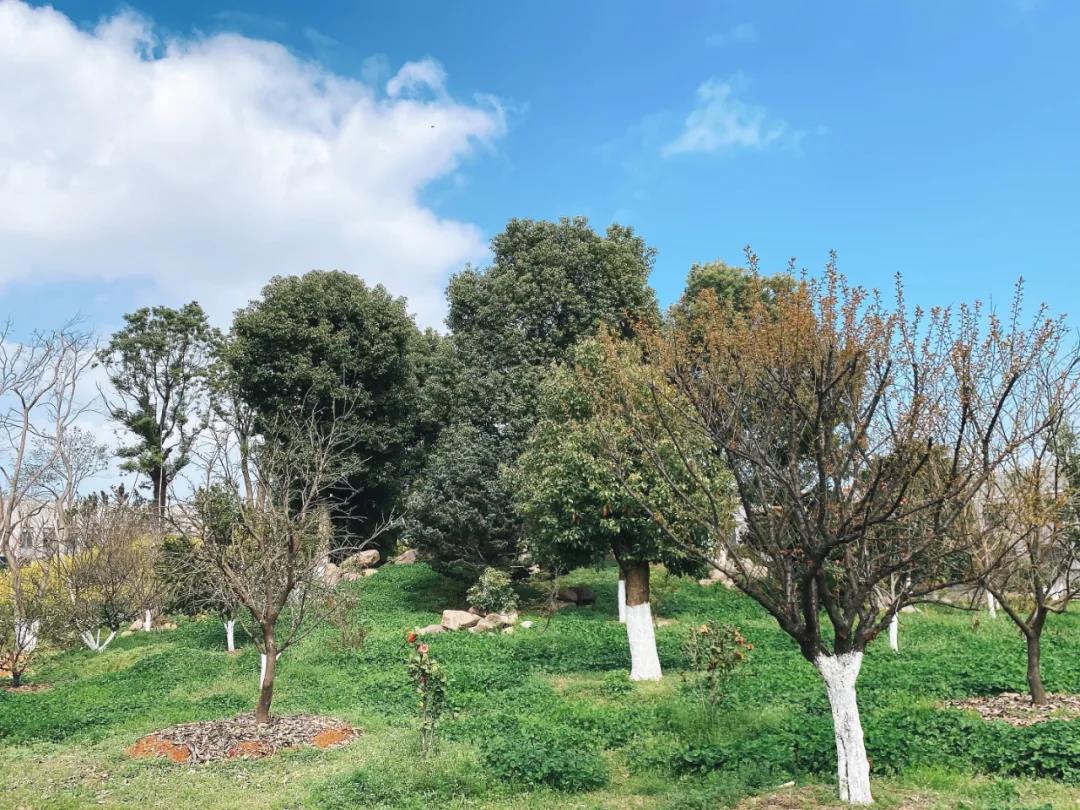 風(fēng)景這邊獨(dú)好！東大環(huán)境美景一覽，請(qǐng)查收