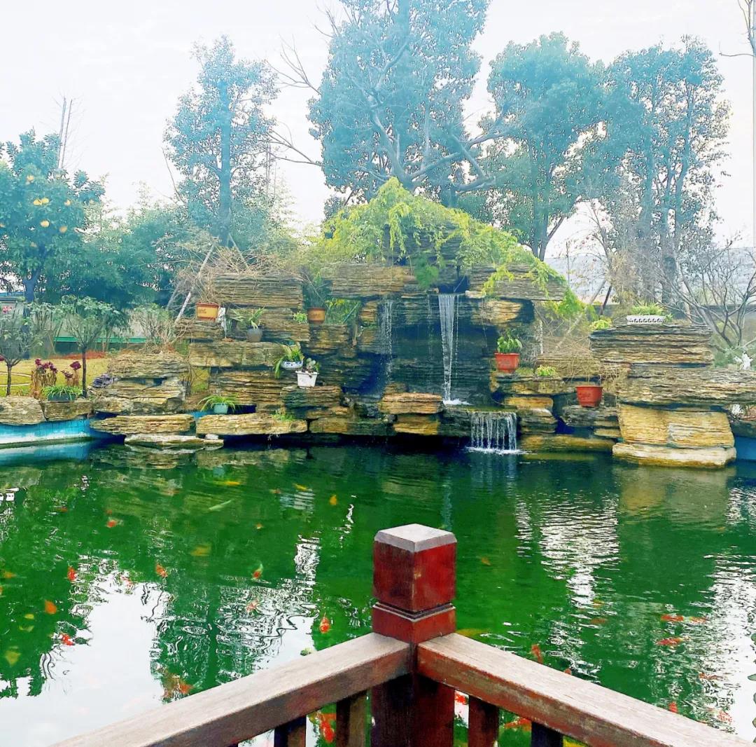 風(fēng)景這邊獨(dú)好！東大環(huán)境美景一覽，請(qǐng)查收