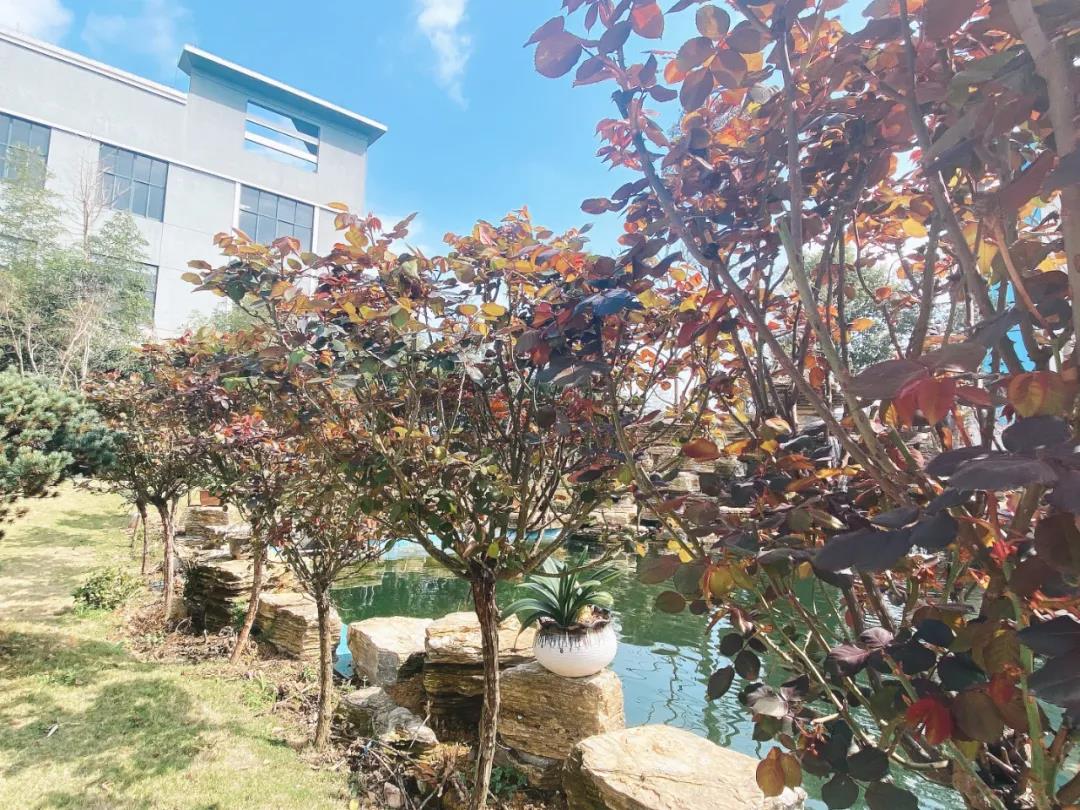 風(fēng)景這邊獨(dú)好！東大環(huán)境美景一覽，請(qǐng)查收