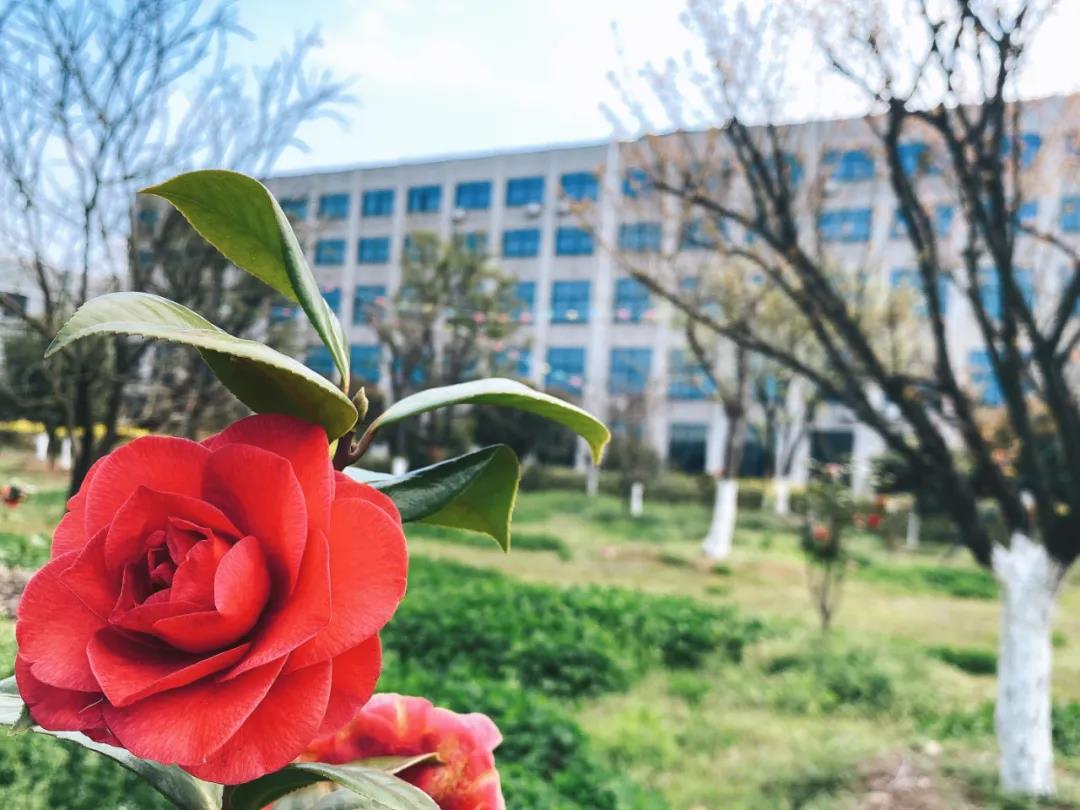 風(fēng)景這邊獨(dú)好！東大環(huán)境美景一覽，請(qǐng)查收